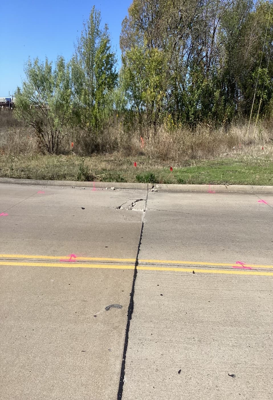 Iron Gate Dr Pavement Damage.jpg